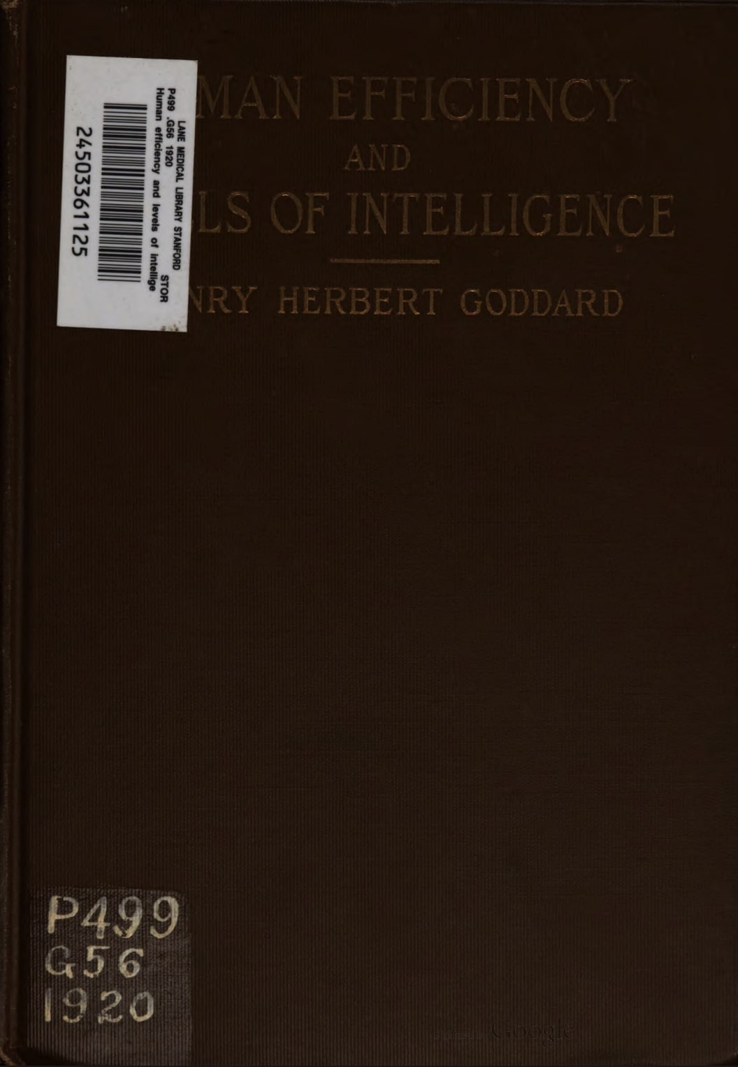 Human Efficiency and the Levels of Intelligence